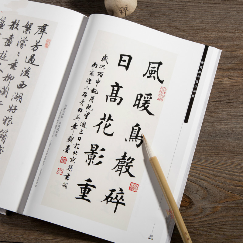 Libro de escritura de caligraf - Chinese Calligraphy Practice Book reseña y precio