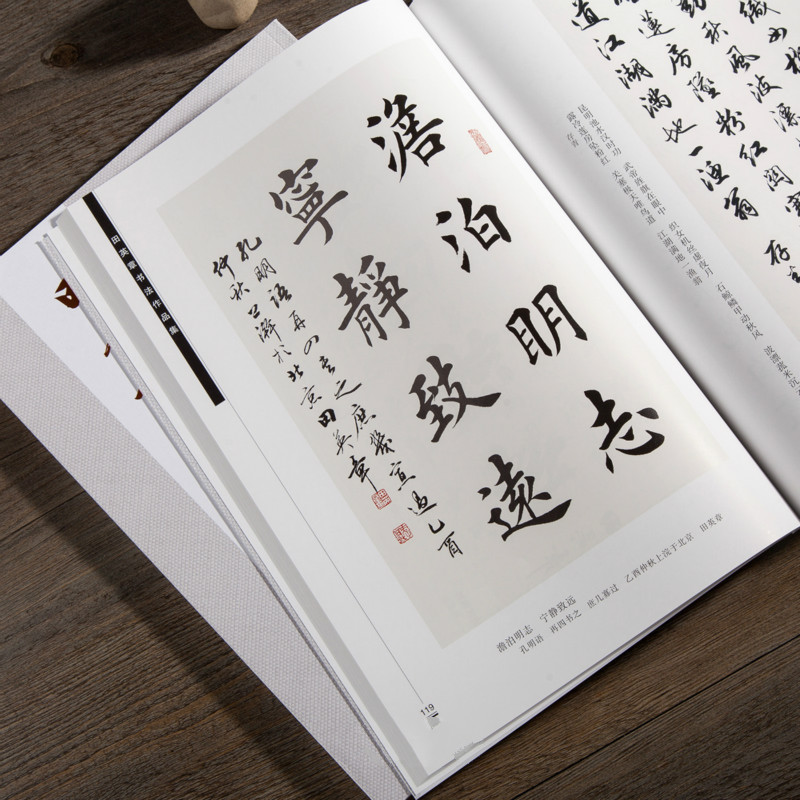 Libro de escritura de caligraf - Chinese Calligraphy Practice Book reseña y precio