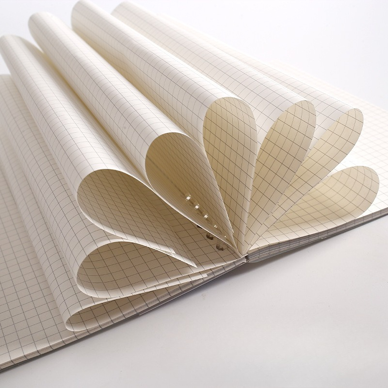 Recambio de hojas sueltas para - A5 Spiral Dotted Grid Notebook reseña y precio
